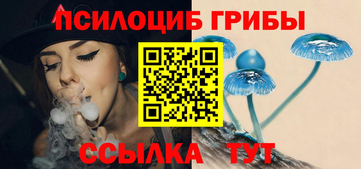 Лабытнанги  Псилоцибиновые грибы Cubensis  Вход с VPN 